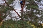 Steinkauzkasten-Bienenweide-10-10x15s