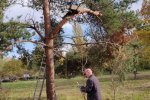 Steinkauzkasten-Bienenweide-13-10x14s