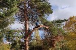 Steinkauzkasten-Bienenweide-18-10x13s