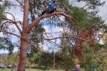 Steinkauzkasten-Bienenweide-20-10x13s