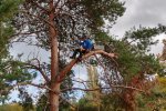 Steinkauzkasten-Bienenweide-22-10x14s