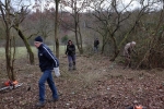 Einsatz Weide an der Straba 09