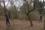 Einsatz Weide an der Straba 14