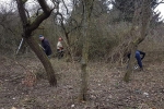 Einsatz Weide an der Straba 20