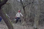 Einsatz Weide an der Straba 21