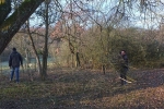 Einsatz Weide an der Straba 02
