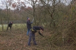 Einsatz Weide an der Straba 05