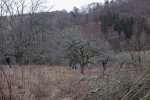 Streuobstwiese Nieder-Beerbach 16 10x16s