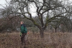 Streuobstwiese Nieder-Beerbach 17 10x15s