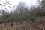 Streuobstwiese Nieder-Beerbach 21 10x15s