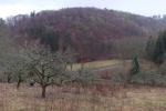 Streuobstwiese Nieder-Beerbach 23 10x27s