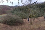 Streuobstwiese Nieder-Beerbach 25 10x34s