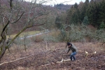Streuobstwiese Nieder-Beerbach 26 10x15s