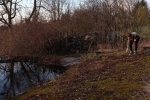 Teich im Wühlmausgarten 1