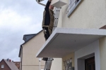 Schwalben Pfungstadt Hahn 2 Foto Stefan Leng