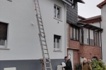 Schwalbenaktion Waldstrasse Seeheim 03 10x13s
