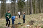 Einsatz Alsbacher Wald 7