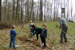 Einsatz Alsbacher Wald 9