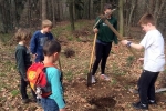 Einsatz Alsbacher Wald - Hacken