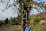 Steinkauzeinsatz-Im-Harkel-22-10x15s