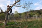 Steinkauzeinsatz-Im-Harkel-23-10x15s