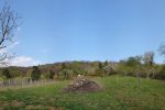 Steinkauzeinsatz-Im-Harkel-26-10x24s