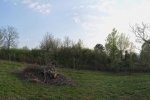 Steinkauzeinsatz-Im-Harkel-28-10x36s