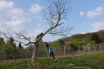 Steinkauzeinsatz-Im-Harkel-31-10x16s