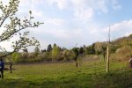 Steinkauzeinsatz-Im-Harkel-36-10x23s