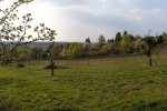 Steinkauzeinsatz-Im-Harkel-37-10x24s