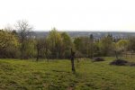 Steinkauzeinsatz-Im-Harkel-40-10x24s