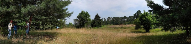 Panorama Dünenlandschaft