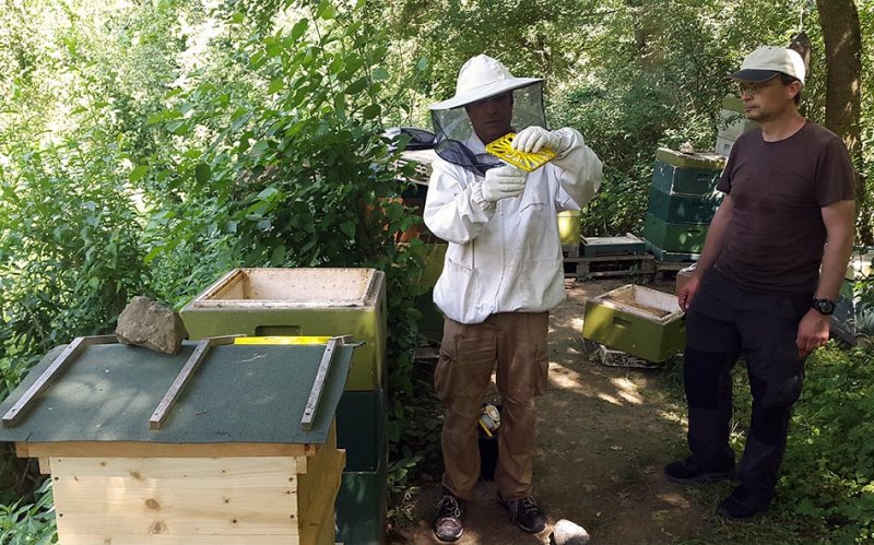 Kurzzeitbehandlung am Bienenstand 1