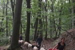 Schafwanderung in den Odenwald 7
