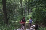 Schafwanderung in den Odenwald 20a 10x14s