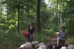 Schafwanderung in den Odenwald - Wühlmaushotel 3