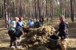 Pflegeeeinsatz im Seeheimer Wald - Harken 11 10x13s