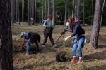 Pflegeeeinsatz im Seeheimer Wald - Harken 5 10x15s