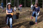 Pflegeeeinsatz im Seeheimer Wald - Harken 6 10x13s