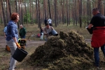 Pflegeeeinsatz im Seeheimer Wald - Harken 7 10x15s