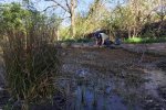 Tino-sammelt-Pflanzen-am-Amphibienteich-im-Wühlmausgarten-01-Foto-Jan-Zeißler-10x13s