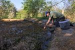 Tino-sammelt-Pflanzen-am-Amphibienteich-im-Wühlmausgarten-02-Foto-Jan-Zeißler-10x13s
