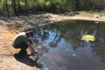 Wasserpflanzen-Amphibienteich-Malcher-Tanne-05-Foto-Jan-Zeißler-10x13s