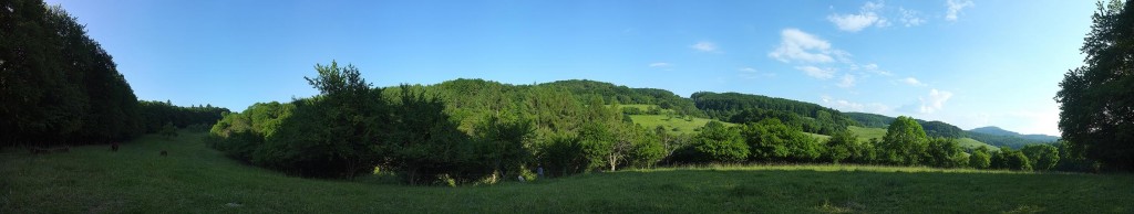 Panoramablick vom kündigen Sommerlager aus ins Stettbachtal