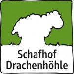Logo-Dh
