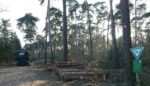 Holzlager im Naturschutzgebiet bei Seeheim aufgelöst
