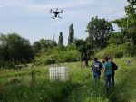 Drohnentraining auf der Bienenweide