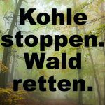 Demo am Sonntag: Waldspaziergang in den Hambacher Forst