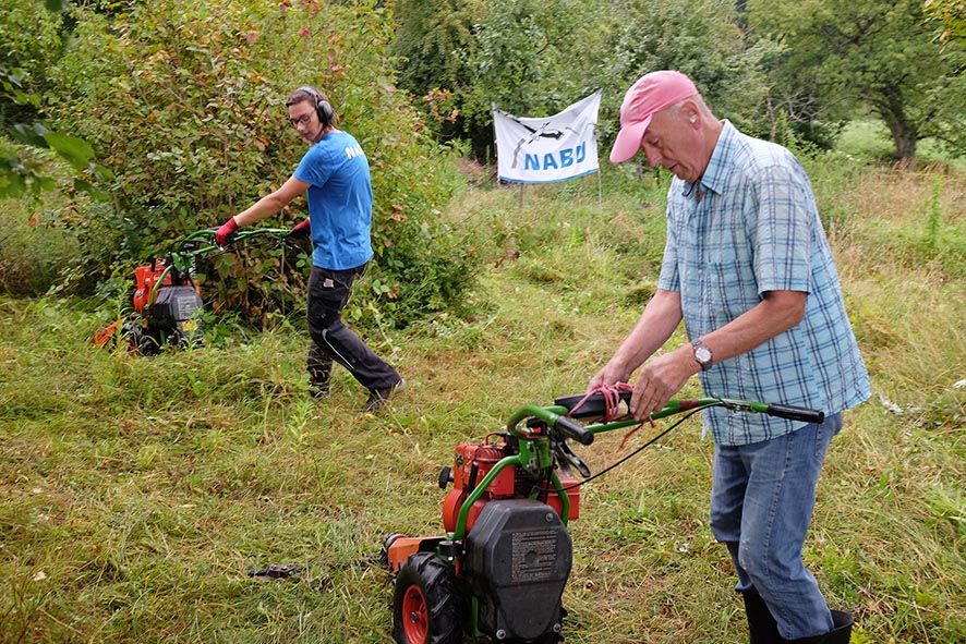 NABU Seeheim-Jugenheim – Wir machen Naturschutz.