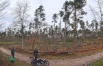 Verbiss-Schutz für den Plant for the Planet-Wald am Seeheimer Waldfriedhof